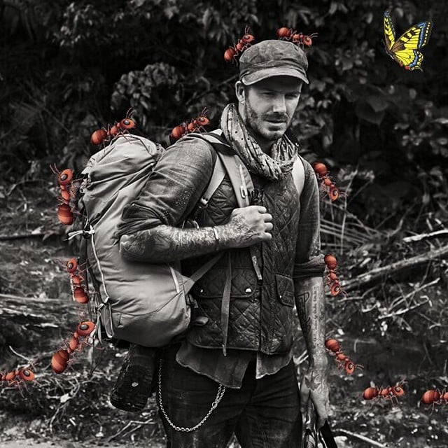 Victoria Beckham decorated a photo of her husband, David Beckham. Yes, those are ants crawling on him.
Source: Instagram user victoriabeckham