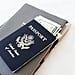 Europe Visa Law For Americans