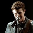 Shawn Mendes Did Not Take It Easy on Our Hearts at the American Music Awards