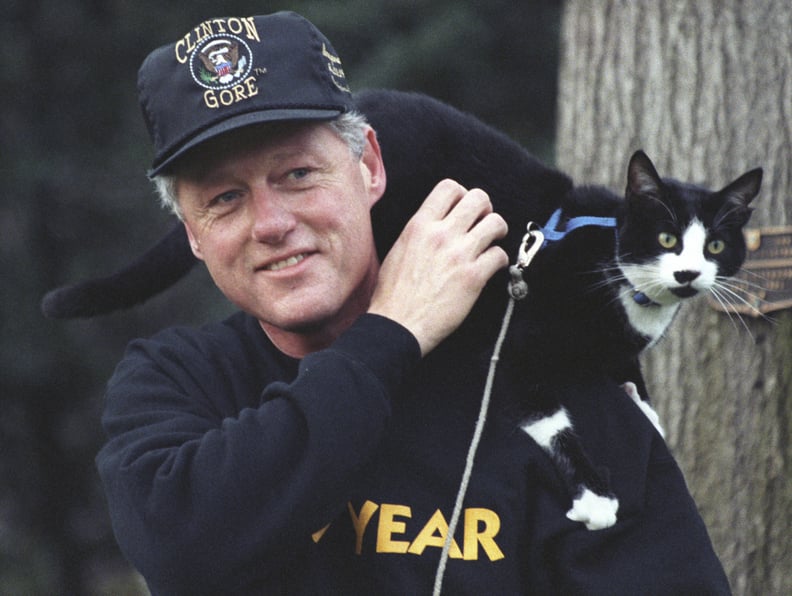 Bill Clinton and His Cat, Socks