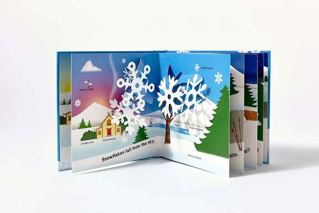 Winter: A Pop-Up Book