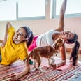 Exercise Doesn't Have to Be So Ruff — Here's How You Can Work Out With Your Dog