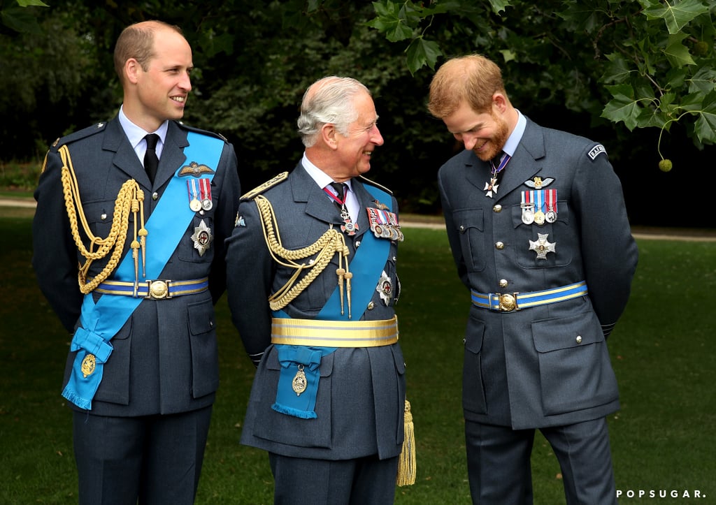 Prince Charles 70th Birthday Royal Portraits