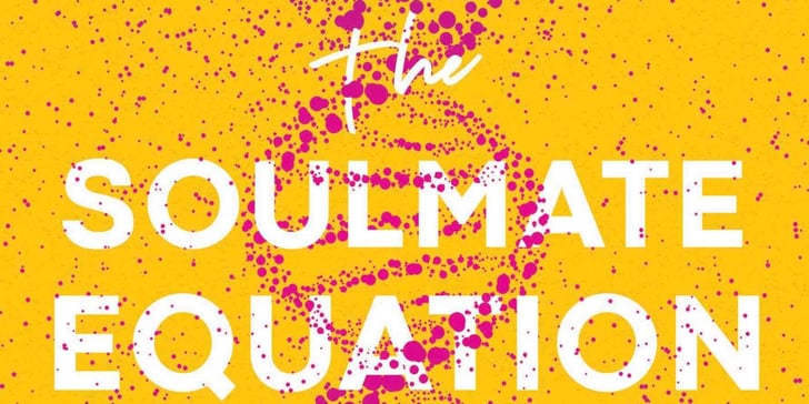 the soulmate equation review