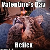 Valentine's Day Memes | POPSUGAR Tech