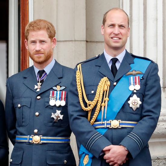 Prince William and Prince Harry Pictures