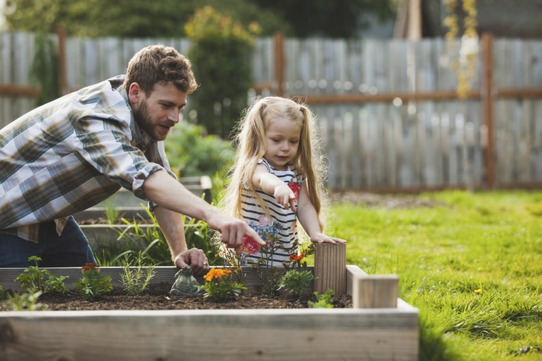 Plant a Garden