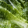 Recalled Romaine Lettuce Linked to E. Coli Cases in 6 States — What You Need to Know