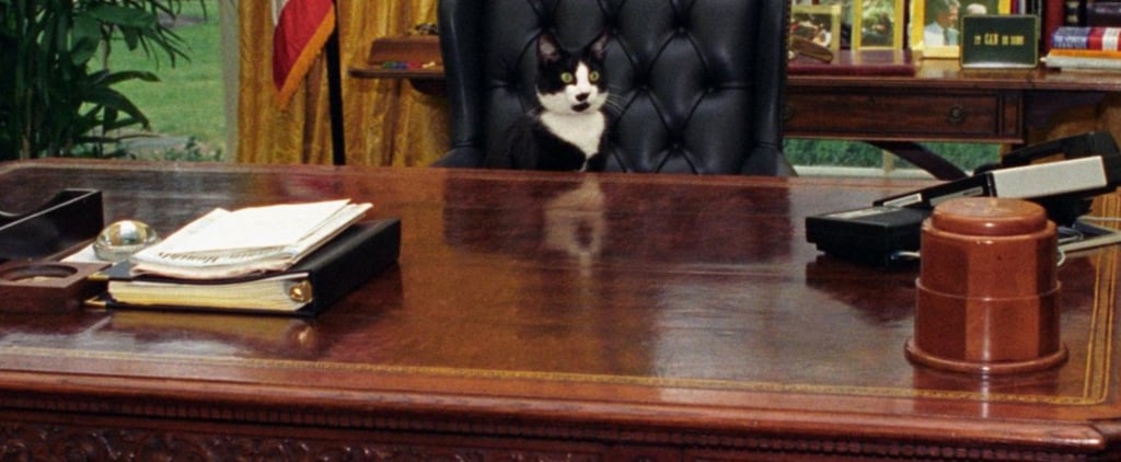If My Pet Ran For President Hashtag