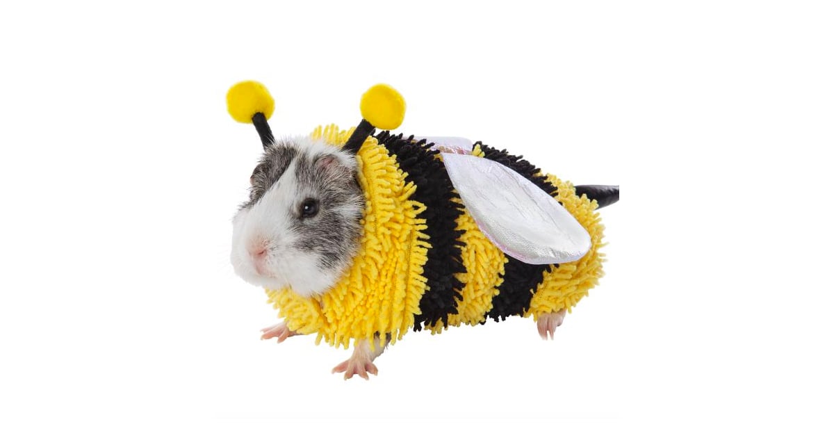 Thrills Chills Small Pet Costume Bee Guinea Pig Halloween Costumes Popsugar Australia Pets Photo 3