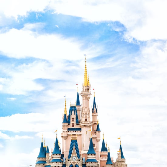 Disneyland vs. Disneyworld