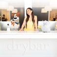 Drybar Is Offering Limited-Time Free Pampering For Its Most Paw-Some Customers