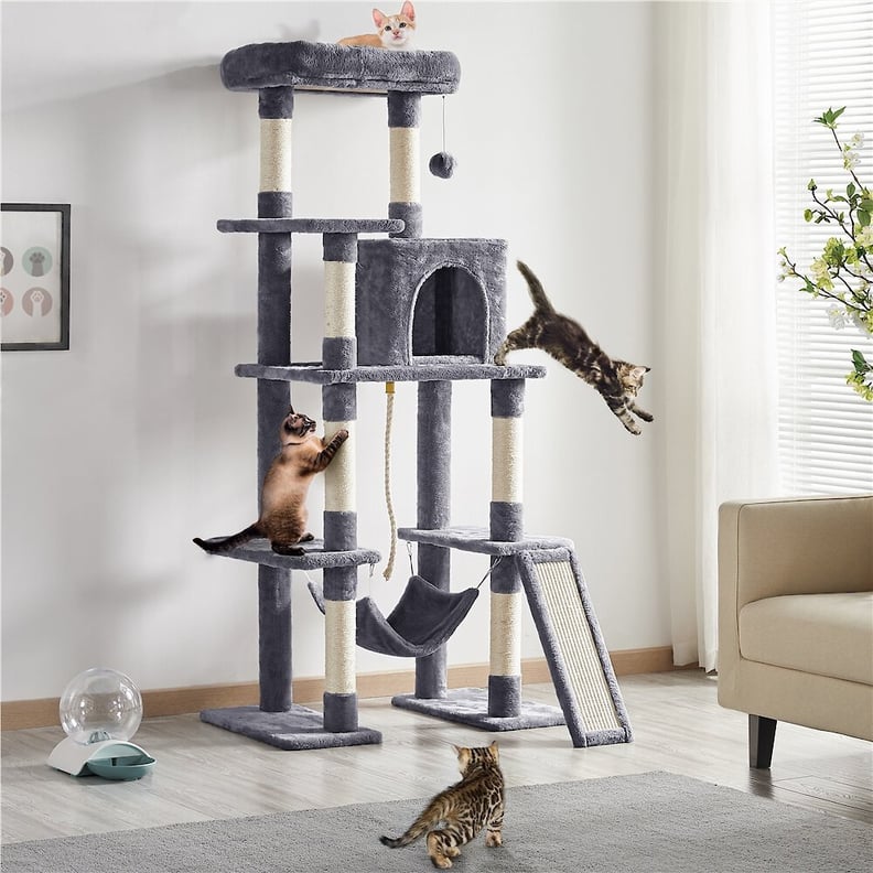 Best Multilevel Cat Tree