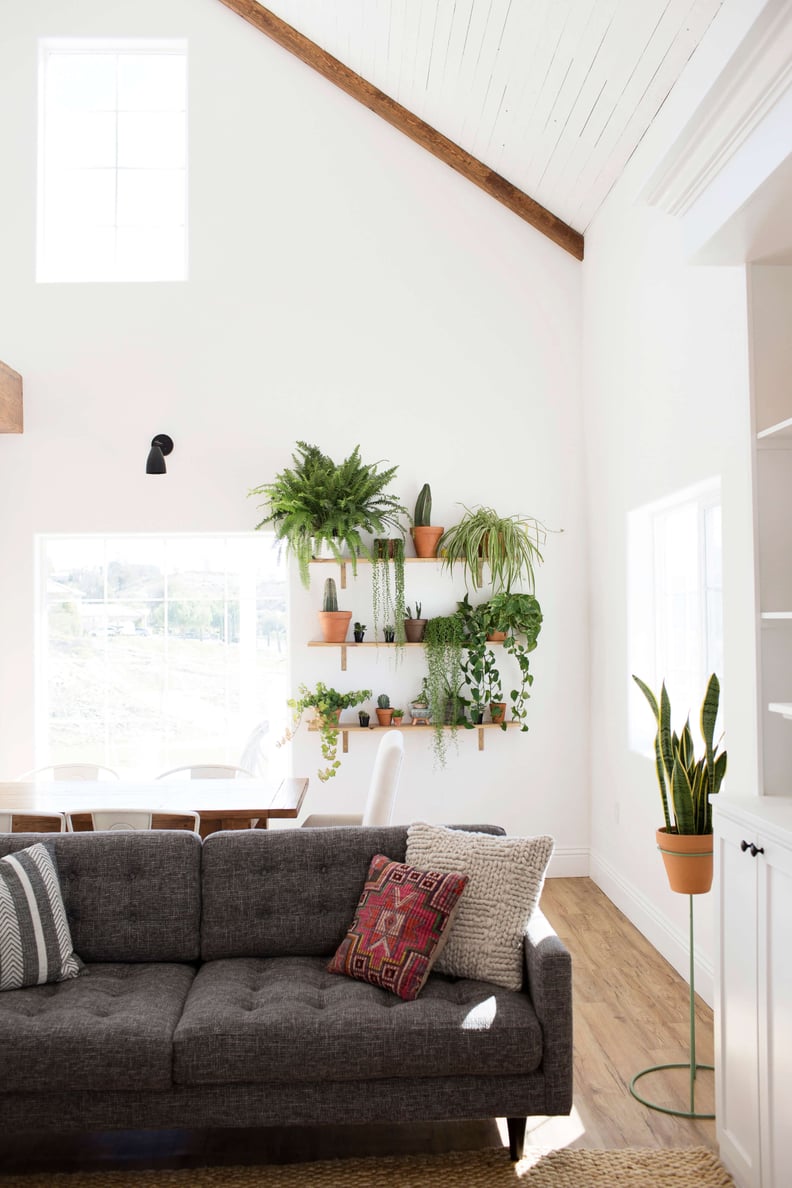 There's a reason plants are a hot home trend.