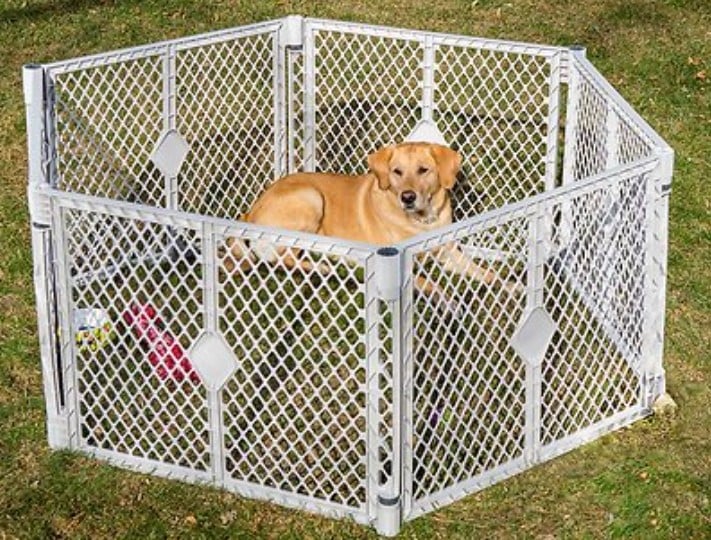 Dog outlet yard pen