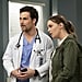DeLuca Shouldn't Have Lied For Meredith on Grey's Anatomy