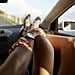 Car Sex: How to Have It, According to a Sexologist
