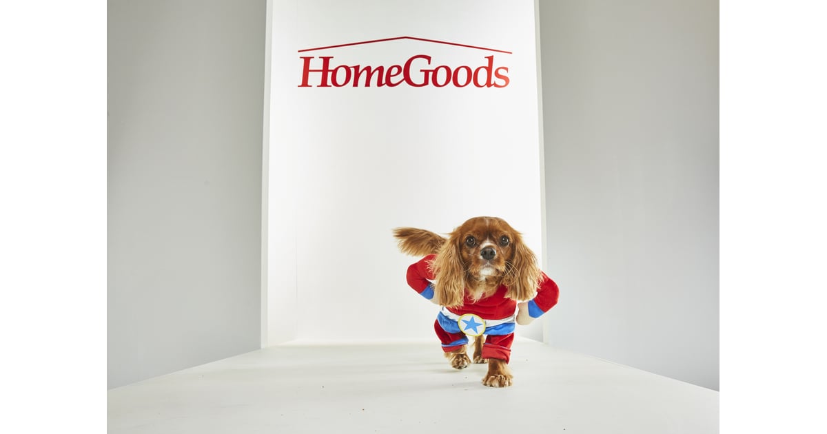 Pet Halloween Costumes From HomeGoods POPSUGAR Home Photo 20