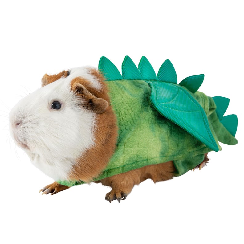 Thrills & Chills Small Pet Costume — Dinosaur