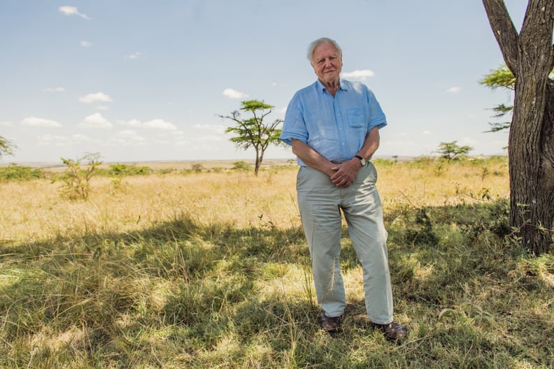 "David Attenborough: A Life on Our Planet"