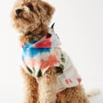 Paws What You're Doing — These 52 Fashionable Dog Coats and Jackets Are a Must This Winter