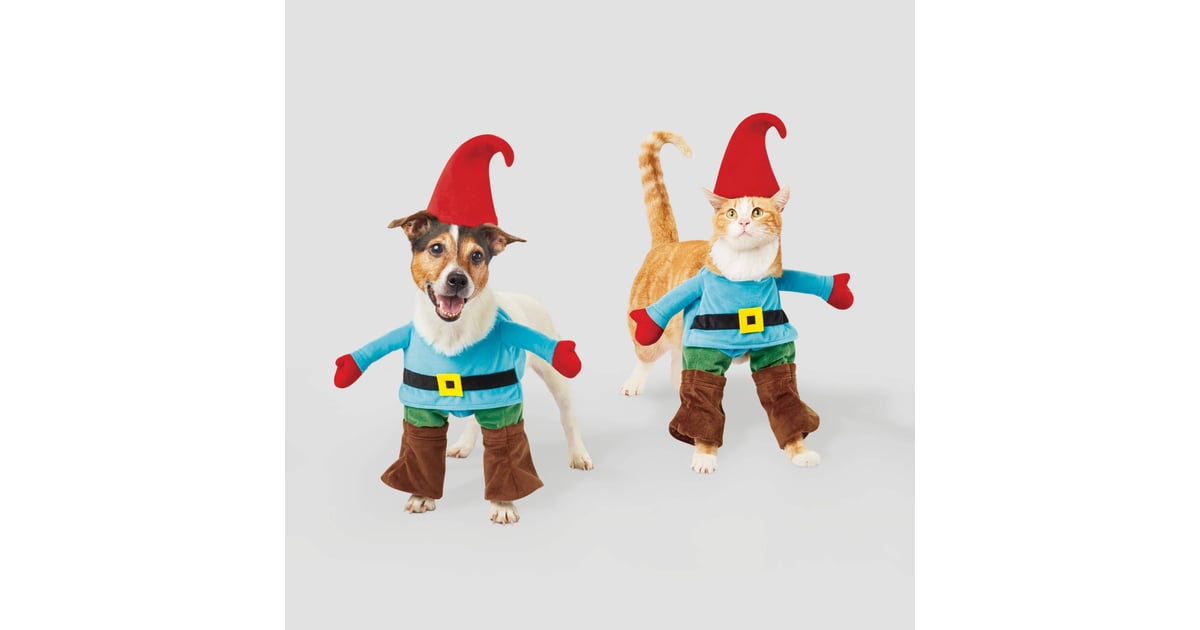 Download Gnome Dog And Cat Costume Best Target Pet Halloween Costumes 2019 Popsugar Pets Photo 12
