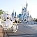 Can You Take Wedding Pictures at Disney?