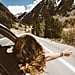 8 Tips For Making the Most Out of Road Trips