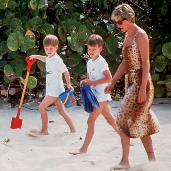 Princess Diana on Vacation With William and Harry Pictures