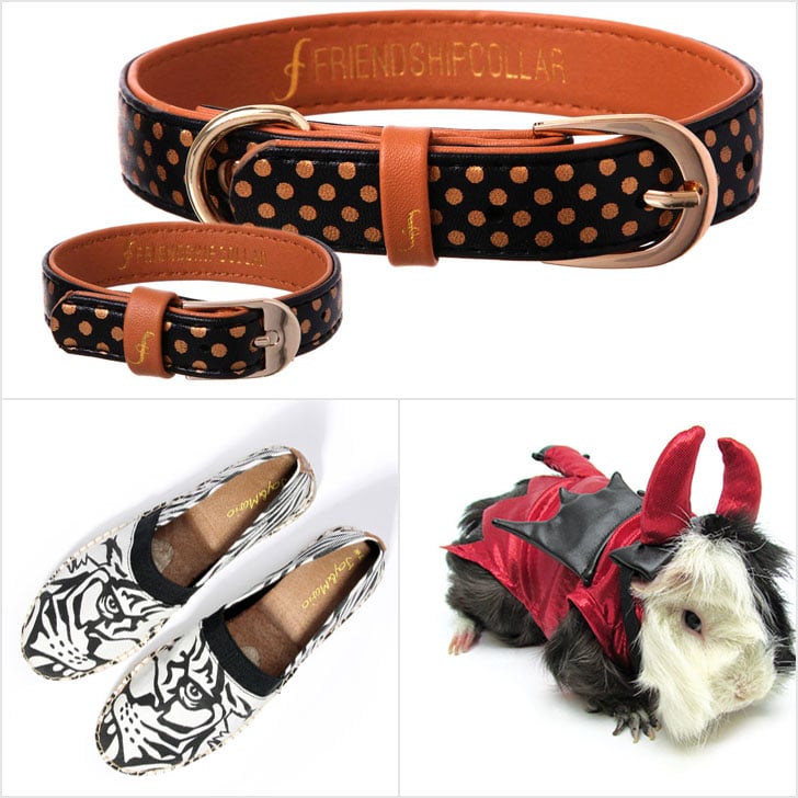 Pets Must Haves | October 2015
