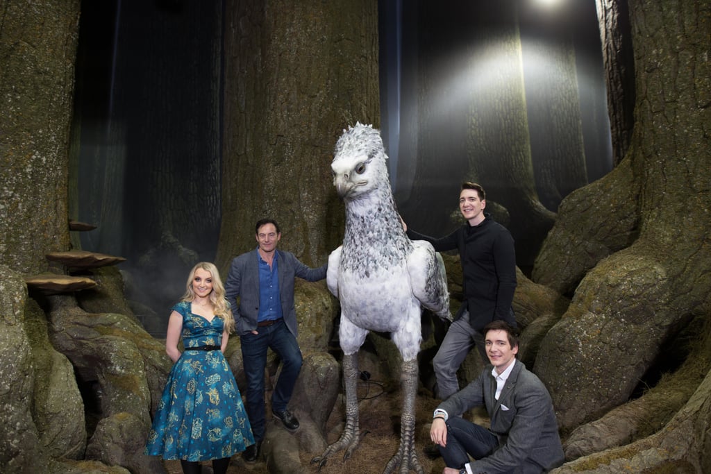 Forbidden Forest Harry Potter London Photos