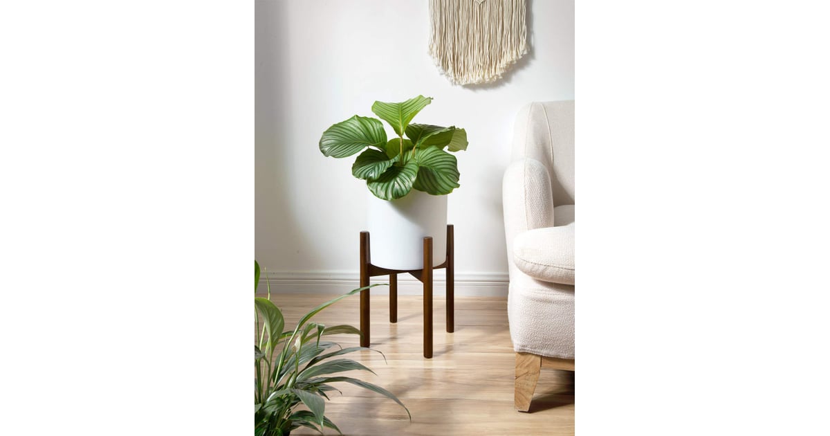 Mkono Plant Stand in Dark Brown Best Plant Stand From Amazon