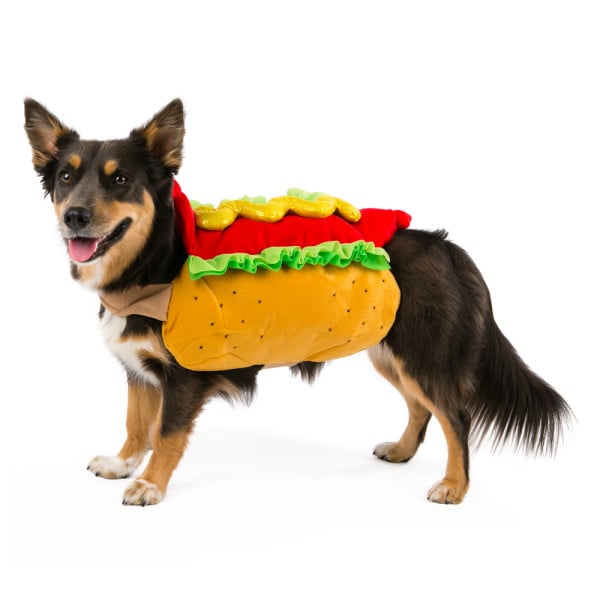 Hot dog costume (710) Miley Cyrus's Dogs in Halloween Costumes