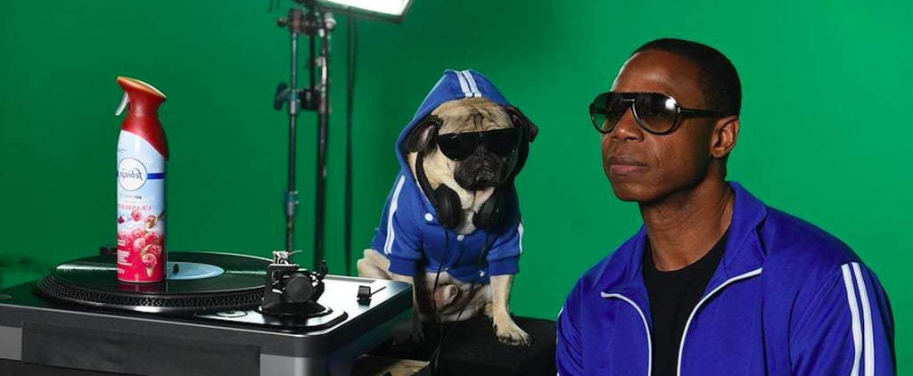 Doug the Pug Febreze Commercial