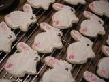 Buttermilk Sugar Cookies - Happy Easter bunnies!