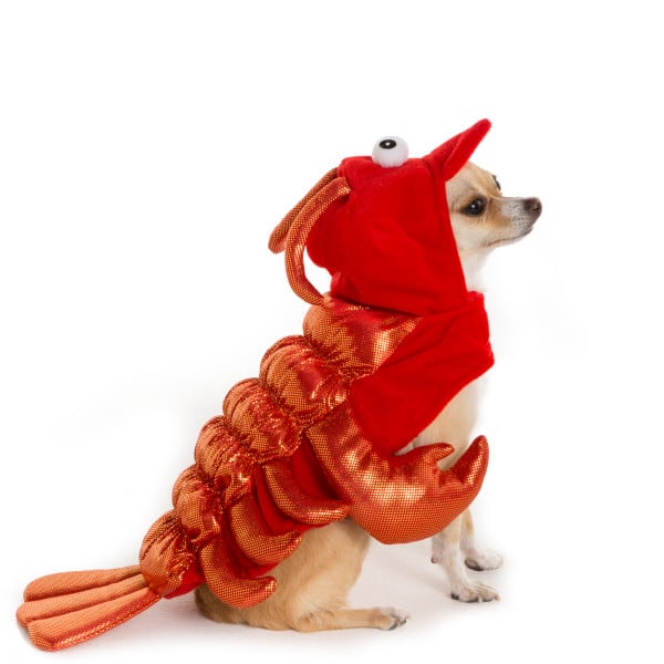 PetSmart Dog Halloween Costumes 2016 POPSUGAR Pets