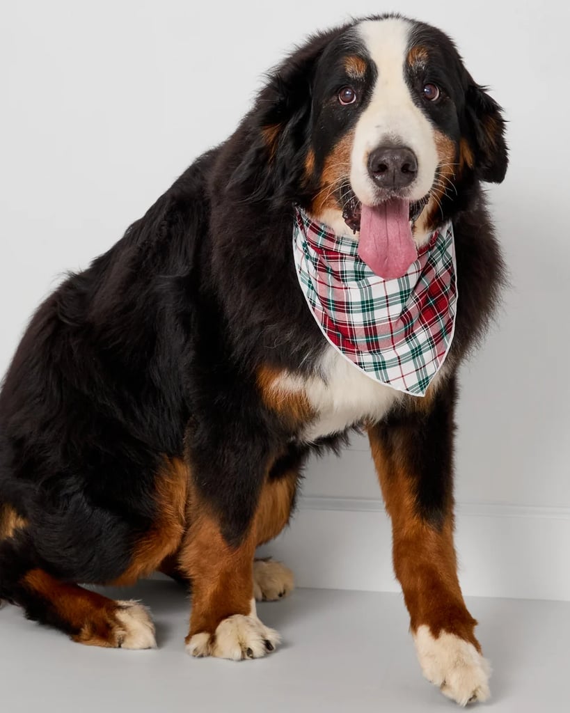 Little Sleepies Holly Plaid Pet Bandana
