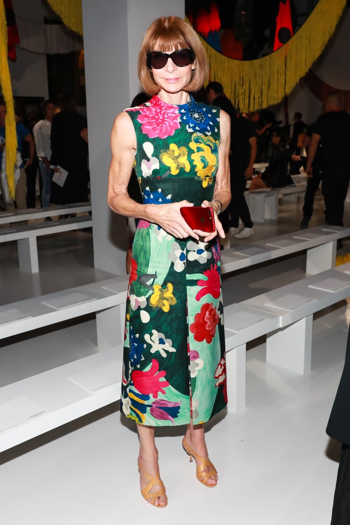 Anna Wintour Celebrities Front Row at Fashion Week Spring 2018