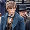 Fantastic Beasts and Where to Find Them 2: Crucial Details About the Plot Revealed