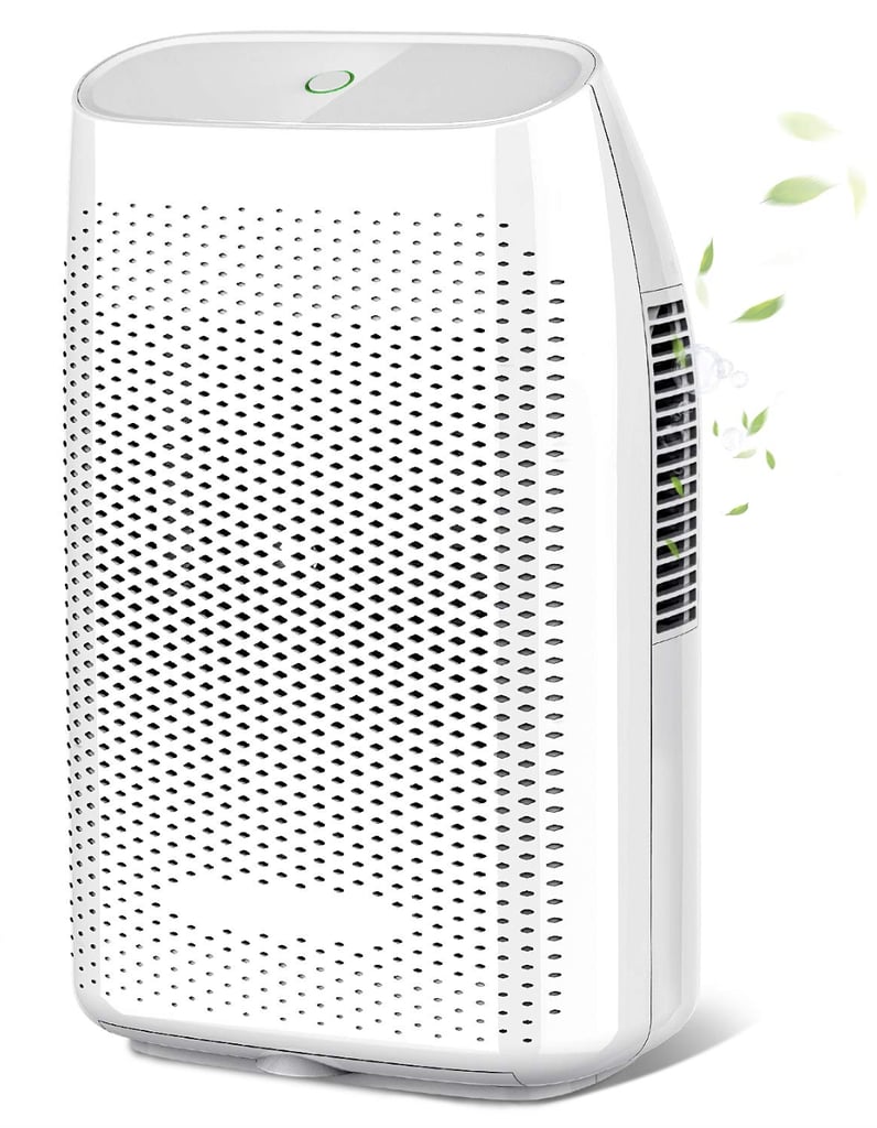 Portable Dehumidifier