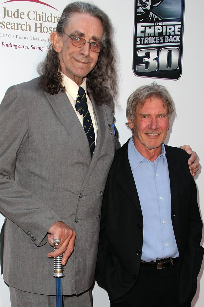 Original Chewbacca Peter Mayhew joined Star Wars: Episode VII, reprising his role from the original franchise.