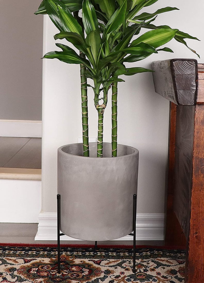 Finehous Cement Planter with Stand