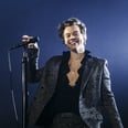 Harry Styles Helped a Pregnant Fan Reveal the Sex of Her Baby Mid-Concert