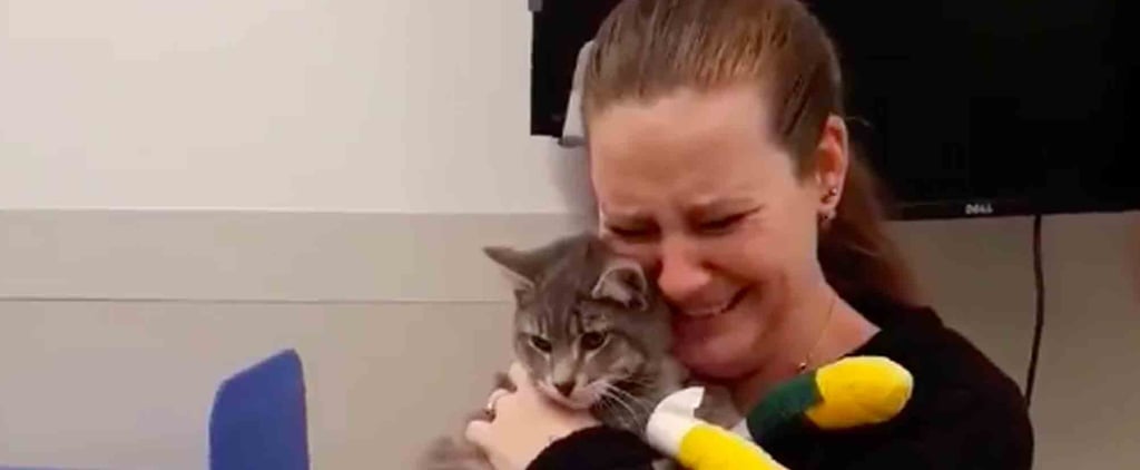 Video of Cat Being Reunited With Owner After Camp Fire