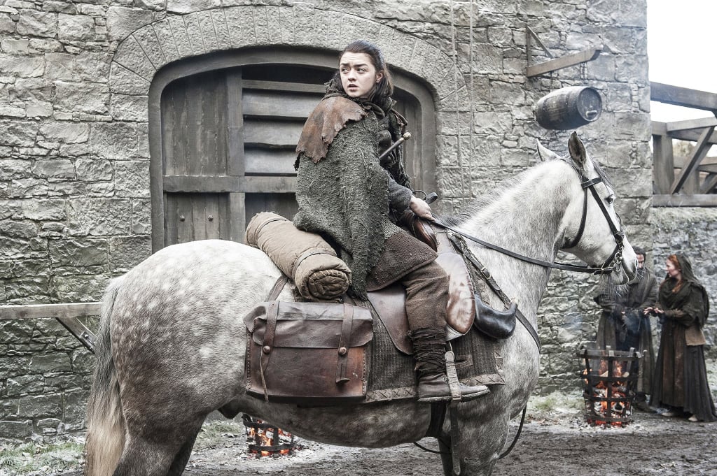 Theory: Will Jon and Arya Finally Reunite?