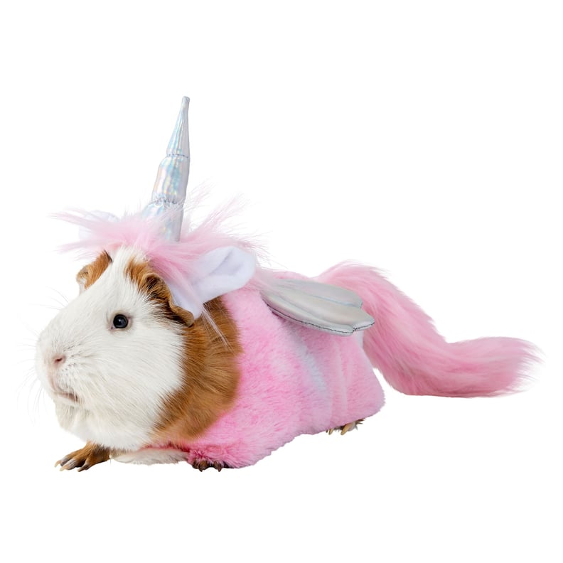 PetSmart - We love guinea pig costumes and we know you do, too! We