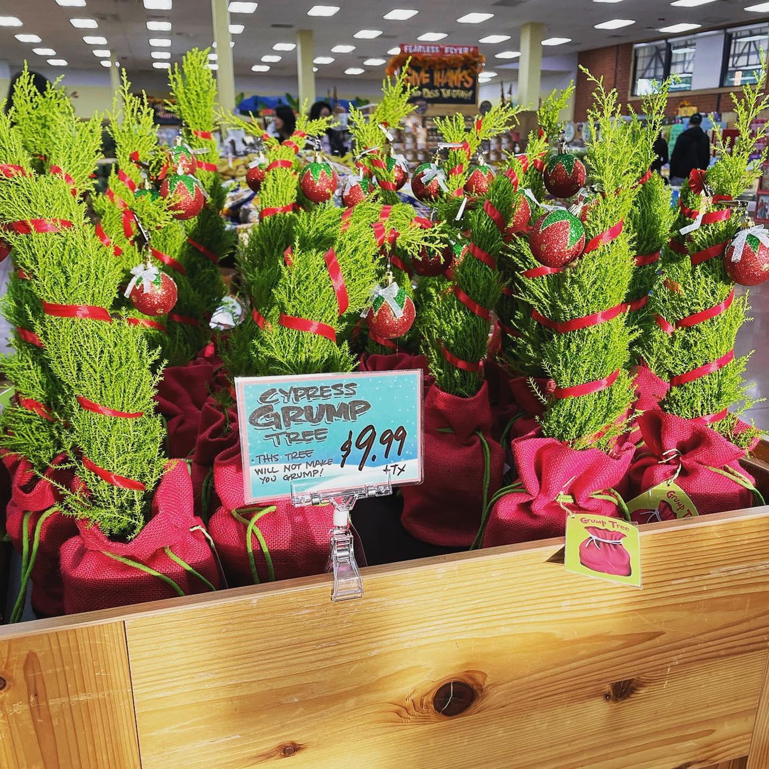 Trader Joe's Grinch Cypress Christmas Trees POPSUGAR Home