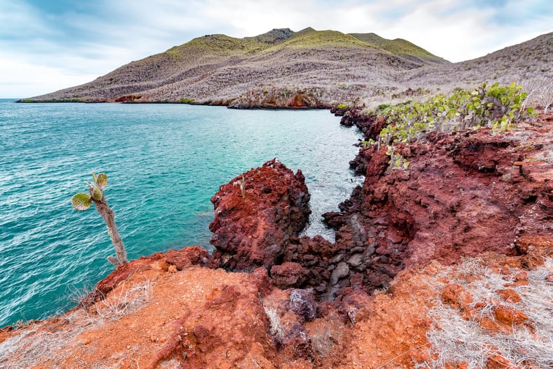 Sail Around the Galapagos and Observe the Wildlife