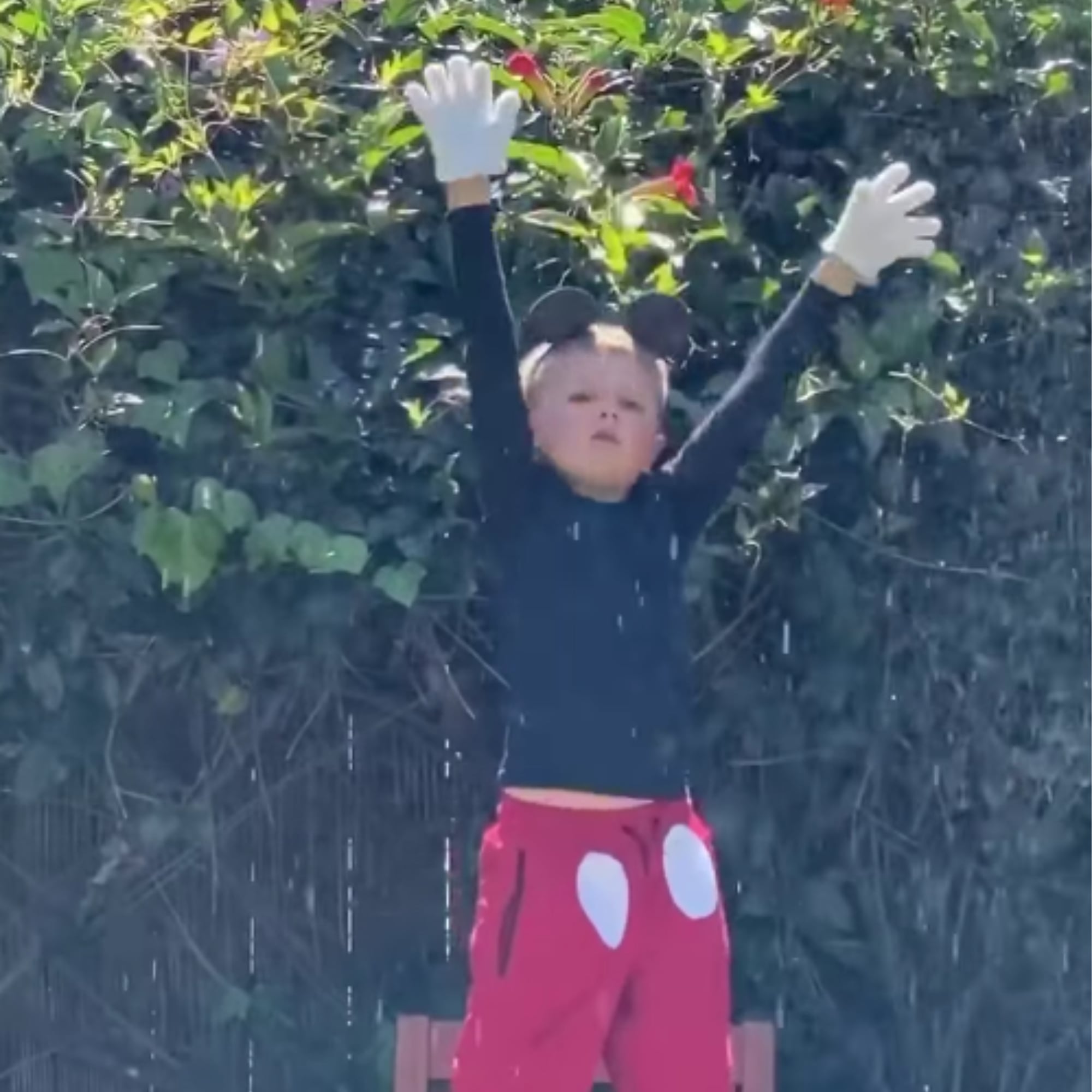 Boy Performs Disney S Fantasmic Show In Backyard Video Popsugar Family