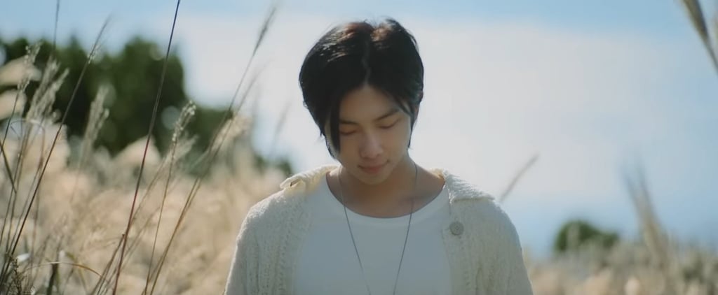 RM's Wild Flower: Music Video, Lyrics in English, Meaning